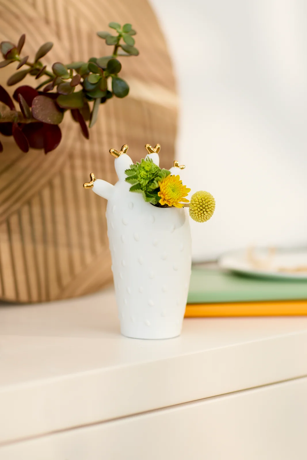 Vase Korallenkaktus