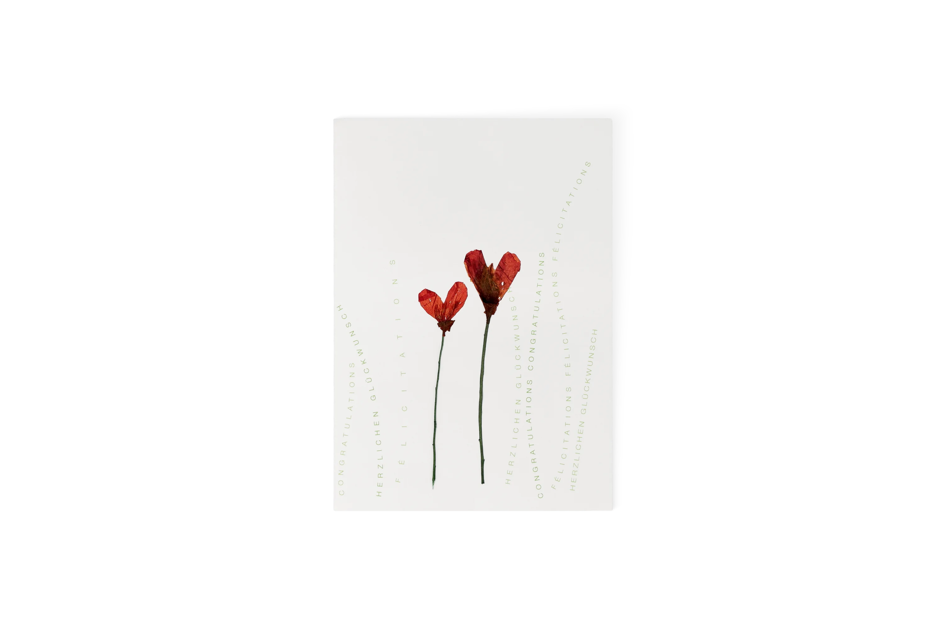 Herzblütenkarte Mohn Herzlichen Glückwunsch