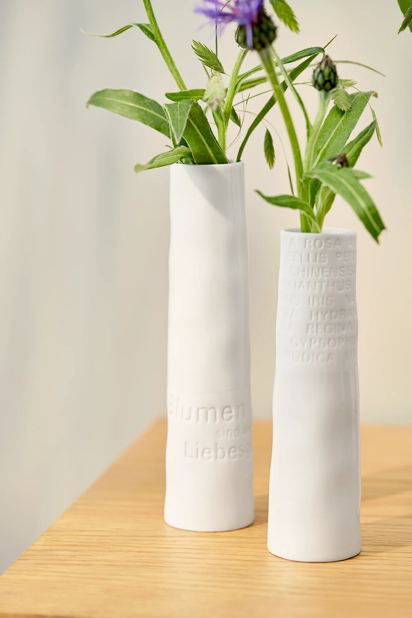 Vase Raumpoesie Mittel