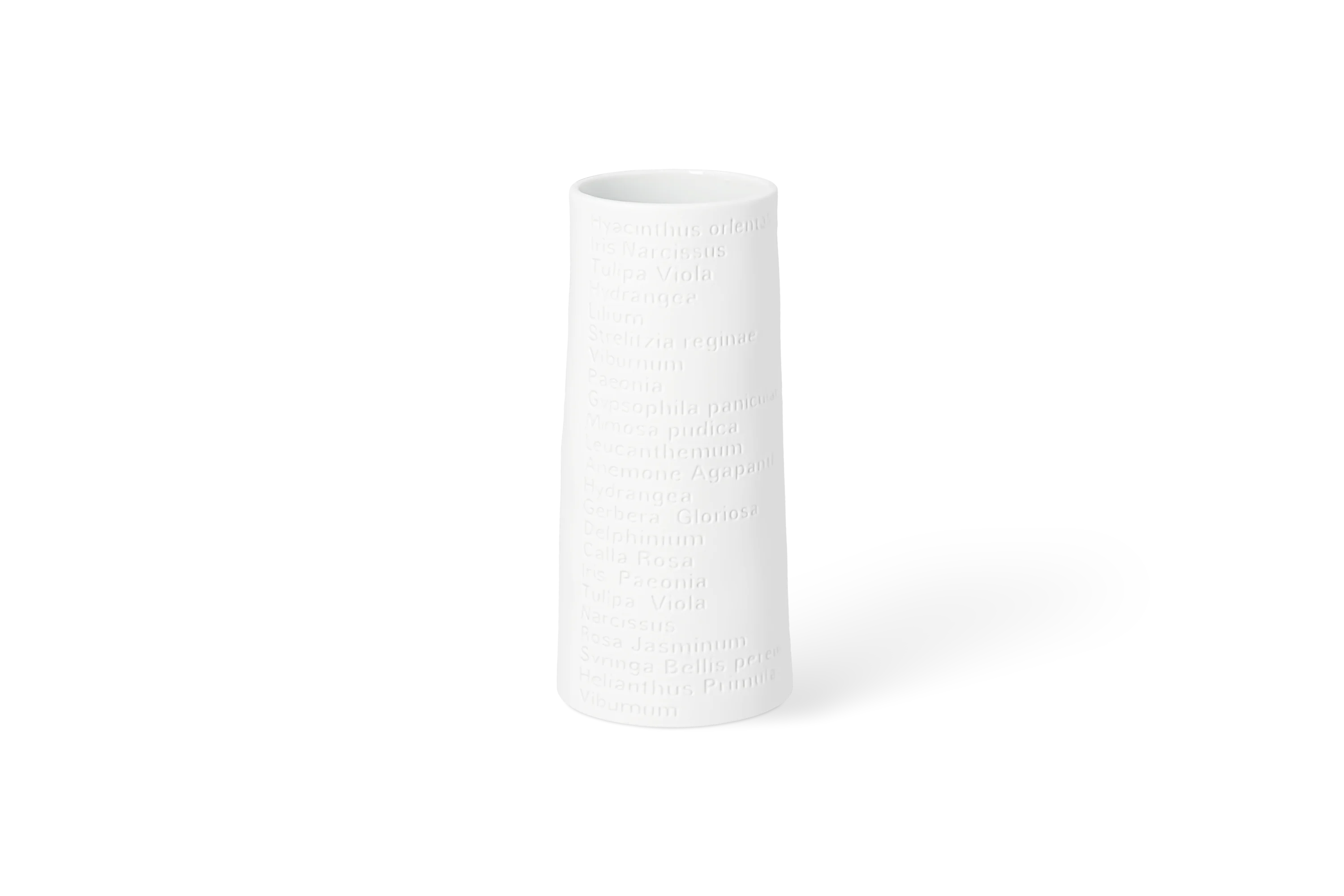 Vase Raumpoesie Breit-Klein
