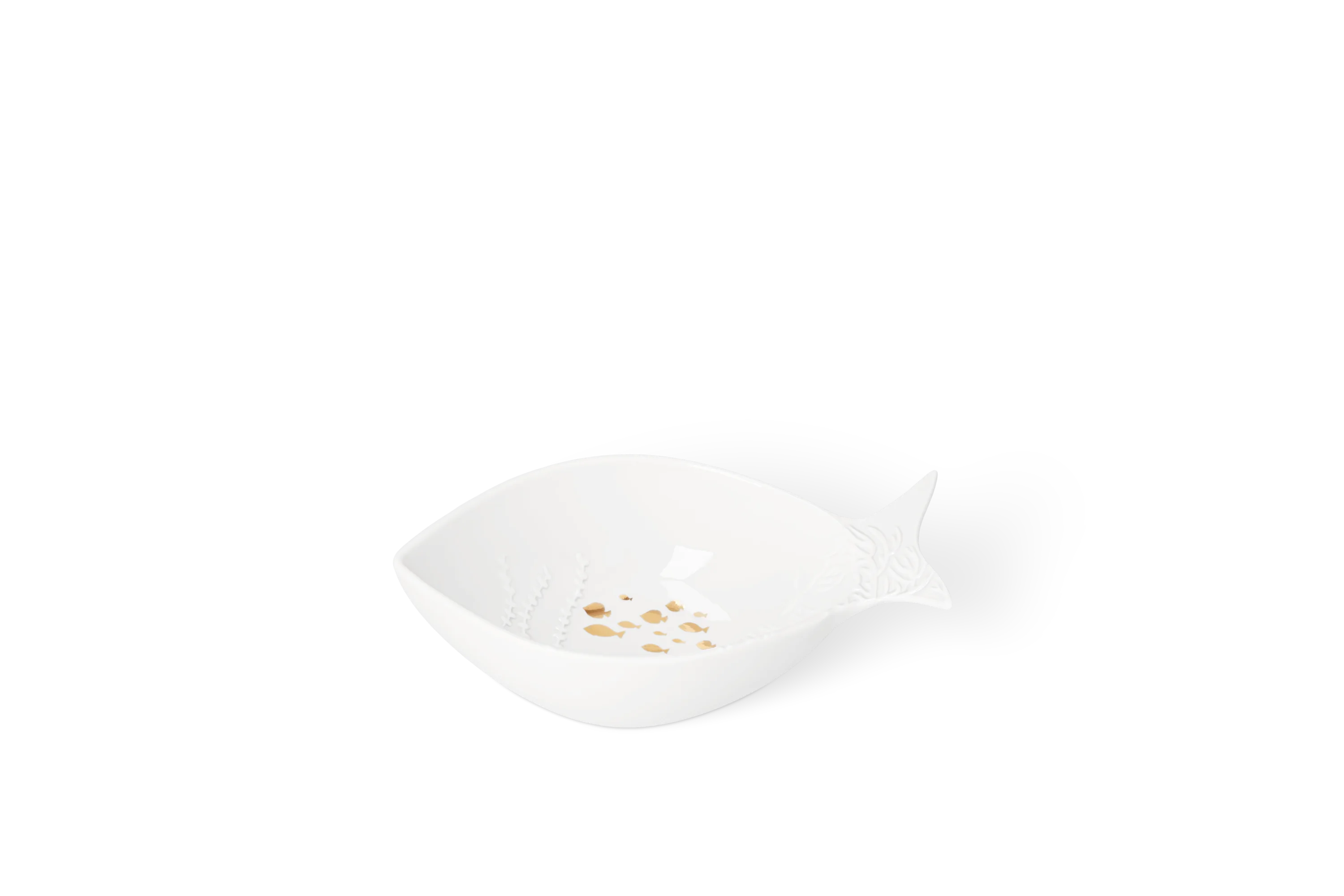 Schale Fisch Koralle