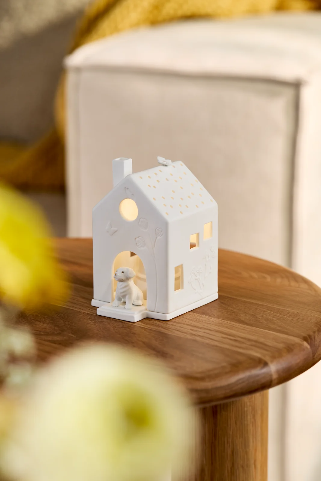 Lichthaus Hund Lichthaus Hund