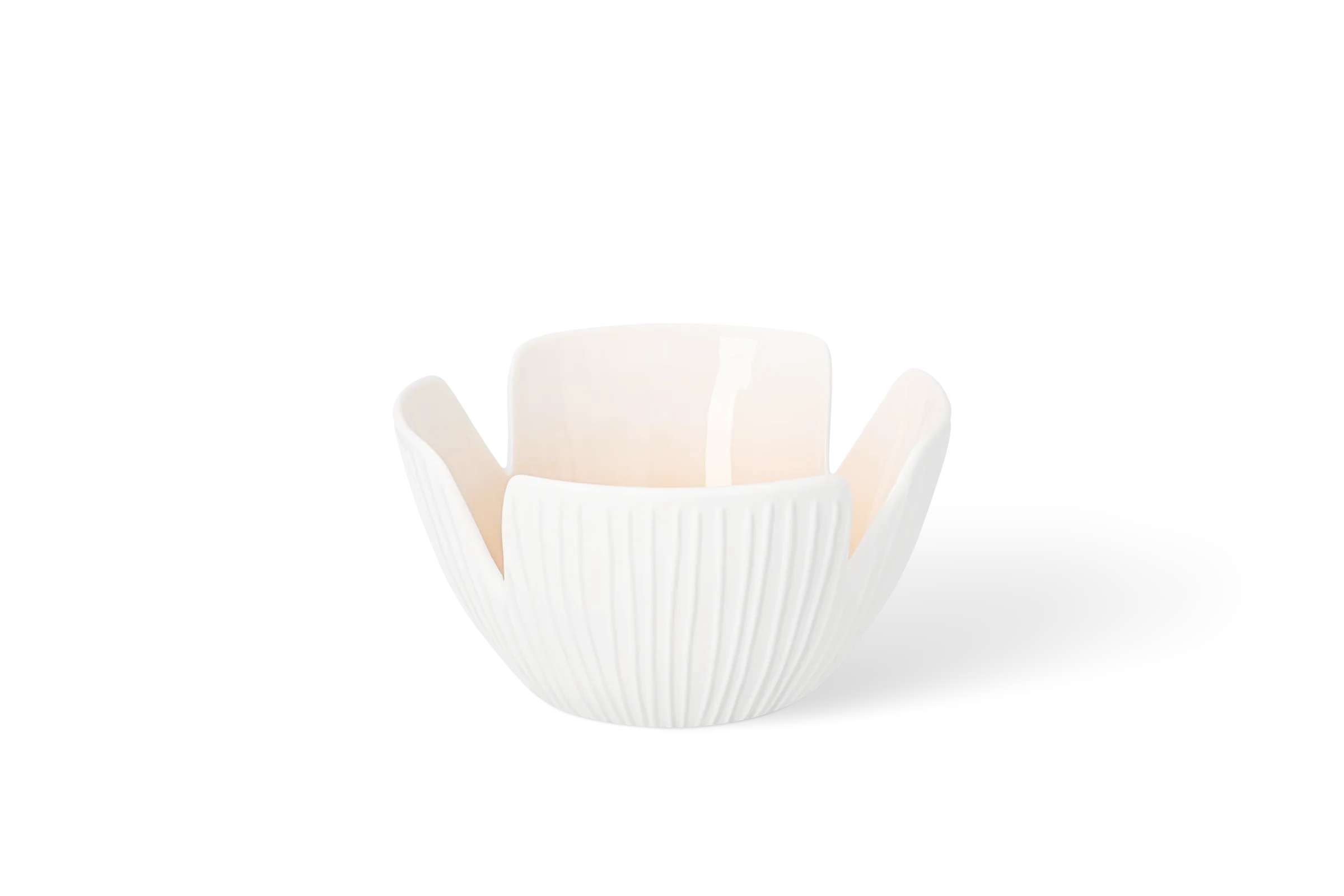 Schale Das blühende Leben Daisy Klein Weiße Porzellanschale in Form einer geöffneten Blüte mit erhabenen Blütenblättern in der Vorderansicht.