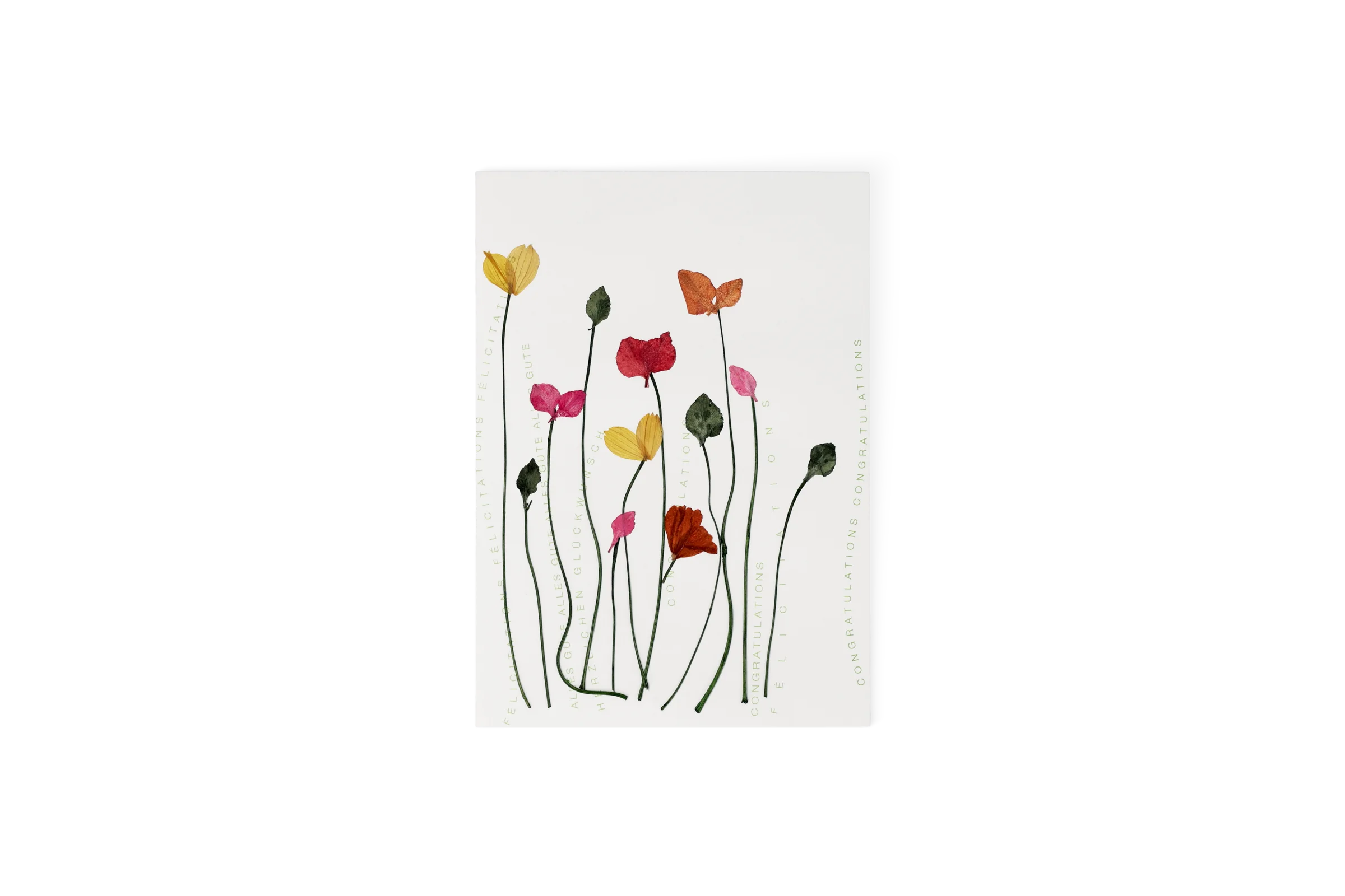 Herzblütenkarte Mohn Alles Gute