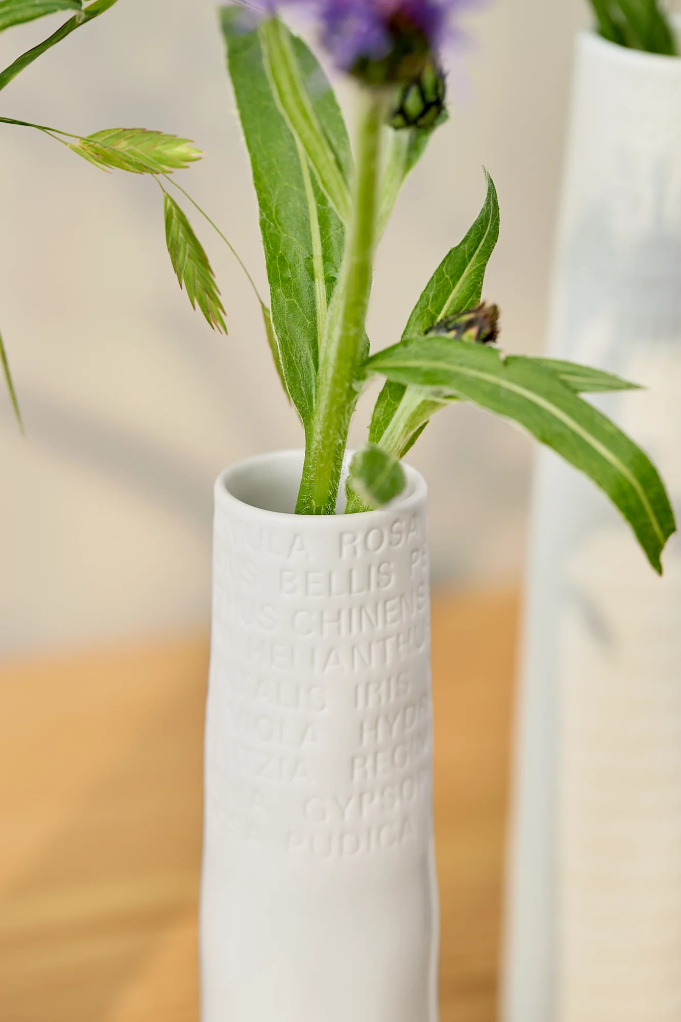 Vase Raumpoesie Klein