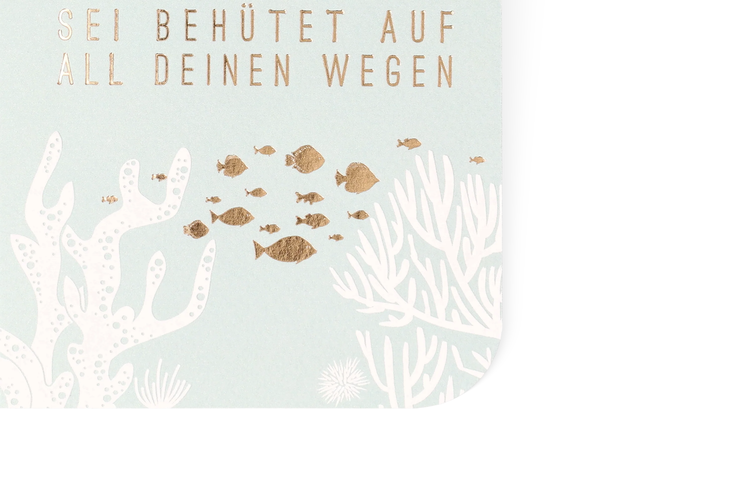Taufkarte UWW Seit behütet