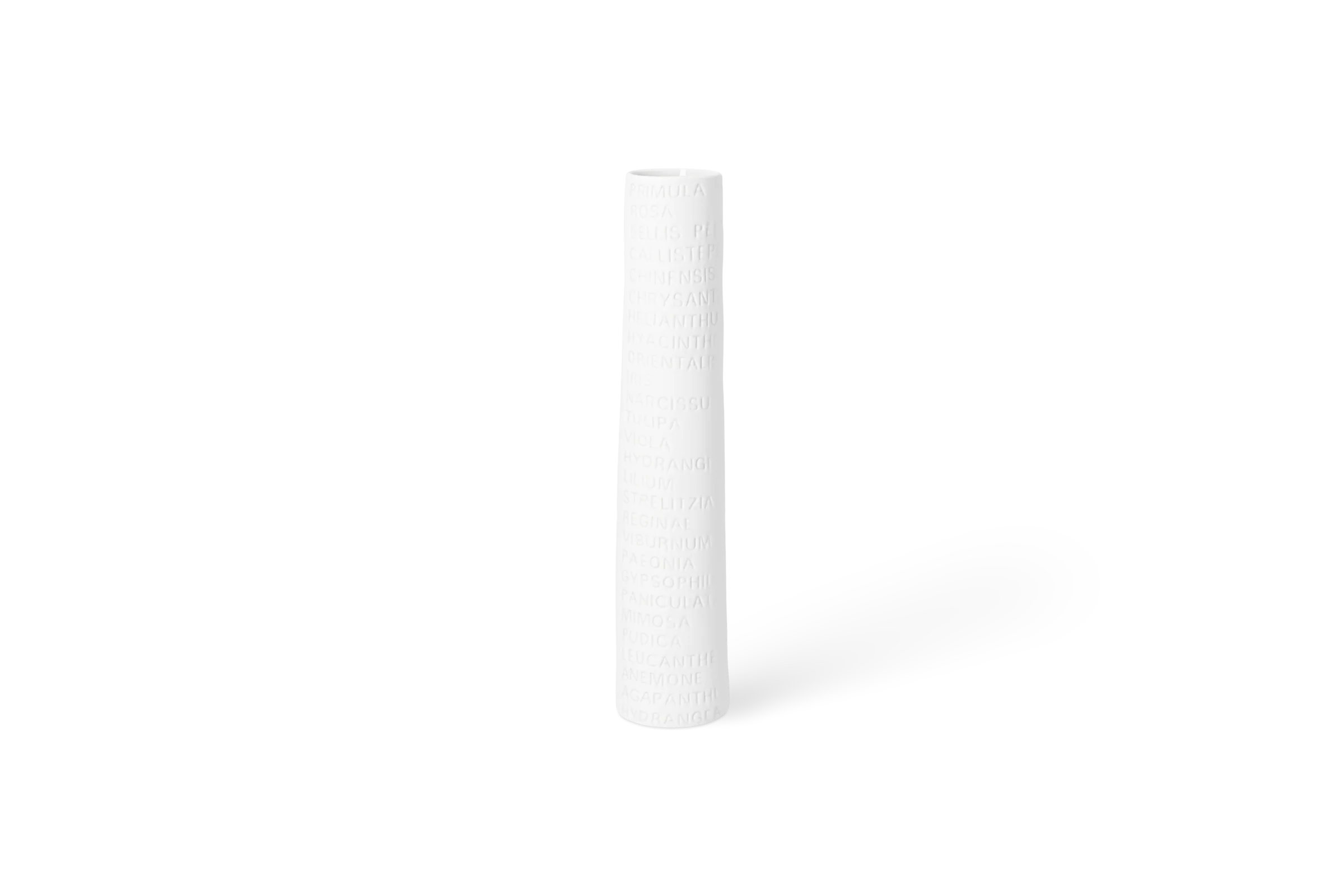 Vase Raumpoesie Groß Hohe weiße Porzellanvase mit eingeprägten Namen verschiedener Blumen in der Vorderansicht.